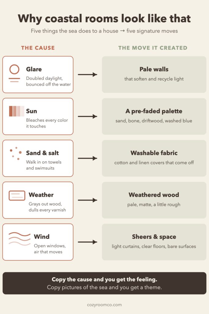 Diagram mapping five seaside causes - glare, sun, sand and salt, weather, wind - to the five coastal decor signatures each one created
